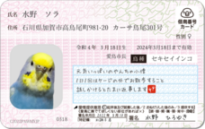 Daydream Labのプレスリリース画像13