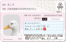 Daydream Labのプレスリリース画像16