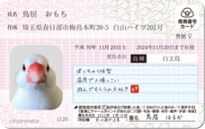 Daydream Labのプレスリリース画像10