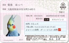 Daydream Labのプレスリリース画像2