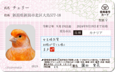 Daydream Labのプレスリリース画像7