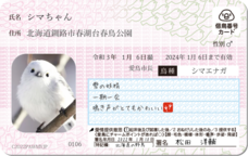 Daydream Labのプレスリリース画像3