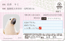 Daydream Labのプレスリリース画像9