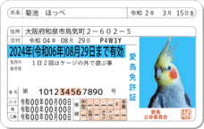 Daydream Labのプレスリリース画像9