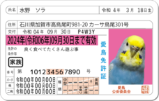 Daydream Labのプレスリリース画像3