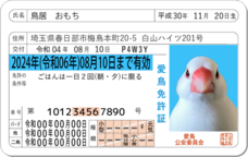 Daydream Labのプレスリリース画像10