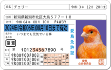 Daydream Labのプレスリリース画像5