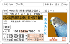 Daydream Labのプレスリリース画像8