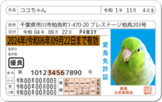 Daydream Labのプレスリリース画像2