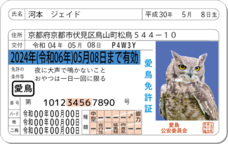 Daydream Labのプレスリリース画像4