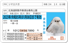 Daydream Labのプレスリリース画像7