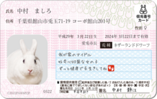 Daydream Labのプレスリリース画像2