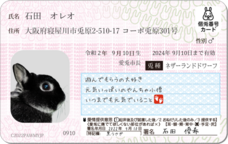 Daydream Labのプレスリリース画像9