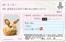 Daydream Labのプレスリリース画像3