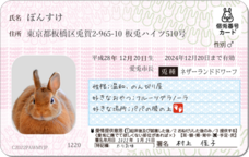 Daydream Labのプレスリリース画像1