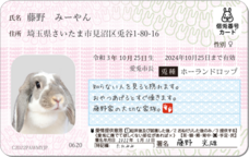 Daydream Labのプレスリリース画像8