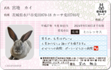 Daydream Labのプレスリリース画像10