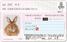 Daydream Labのプレスリリース画像4