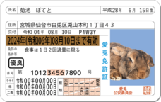 Daydream Labのプレスリリース画像5