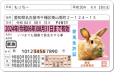 Daydream Labのプレスリリース画像9