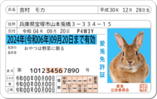 Daydream Labのプレスリリース画像1