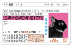 Daydream Labのプレスリリース画像6
