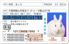 Daydream Labのプレスリリース画像8