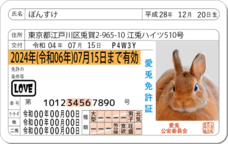 Daydream Labのプレスリリース画像3