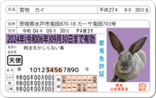 Daydream Labのプレスリリース画像10