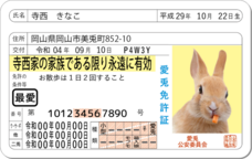 Daydream Labのプレスリリース画像7