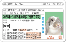 Daydream Labのプレスリリース画像4