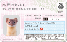 Daydream Labのプレスリリース画像5