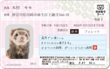 Daydream Labのプレスリリース画像1