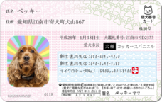 Daydream Labのプレスリリース画像12