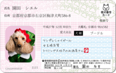 Daydream Labのプレスリリース画像8