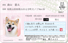 Daydream Labのプレスリリース画像3