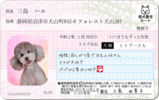 Daydream Labのプレスリリース画像9