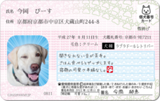 Daydream Labのプレスリリース画像13