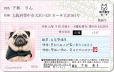 Daydream Labのプレスリリース画像10