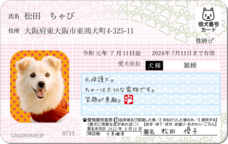 Daydream Labのプレスリリース画像7