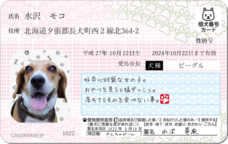 Daydream Labのプレスリリース画像5