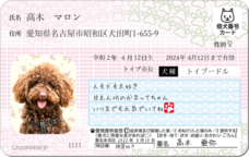 Daydream Labのプレスリリース画像6