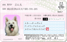 Daydream Labのプレスリリース画像11