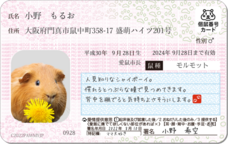 Daydream Labのプレスリリース画像7