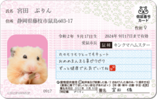 Daydream Labのプレスリリース画像5