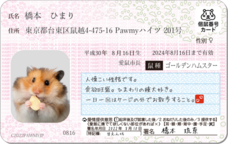 Daydream Labのプレスリリース画像1