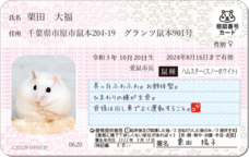 Daydream Labのプレスリリース画像12