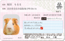 Daydream Labのプレスリリース画像6