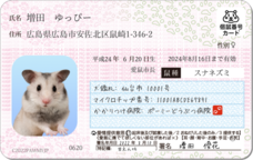 Daydream Labのプレスリリース画像9