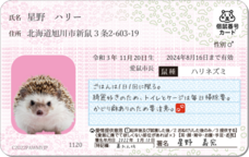 Daydream Labのプレスリリース画像10